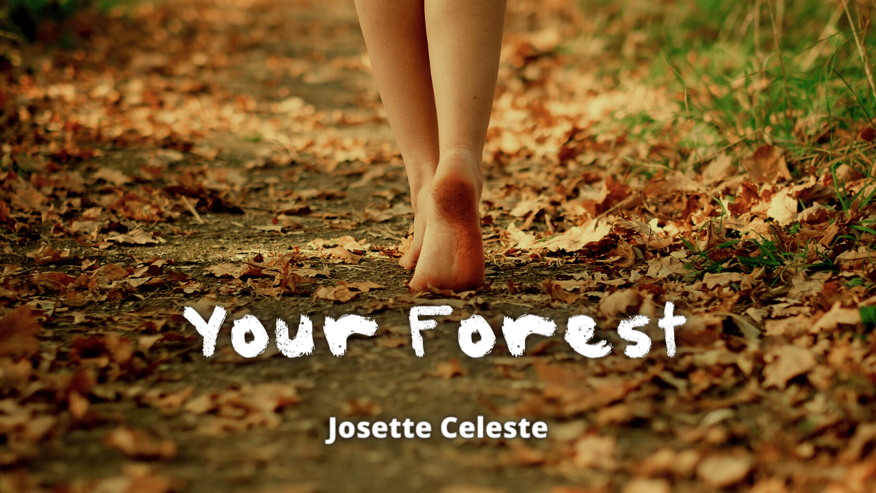 Your Forest