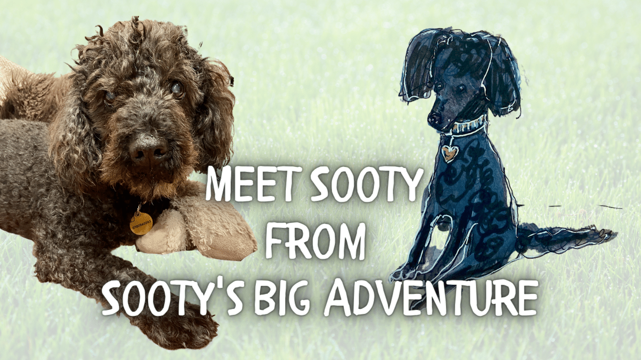 Meet Sooty from Sootys Big Adventure