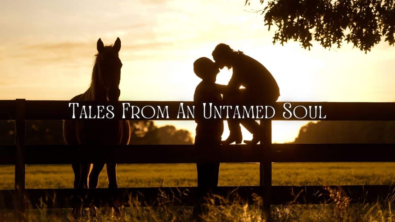 Tales From An Untamed Soul