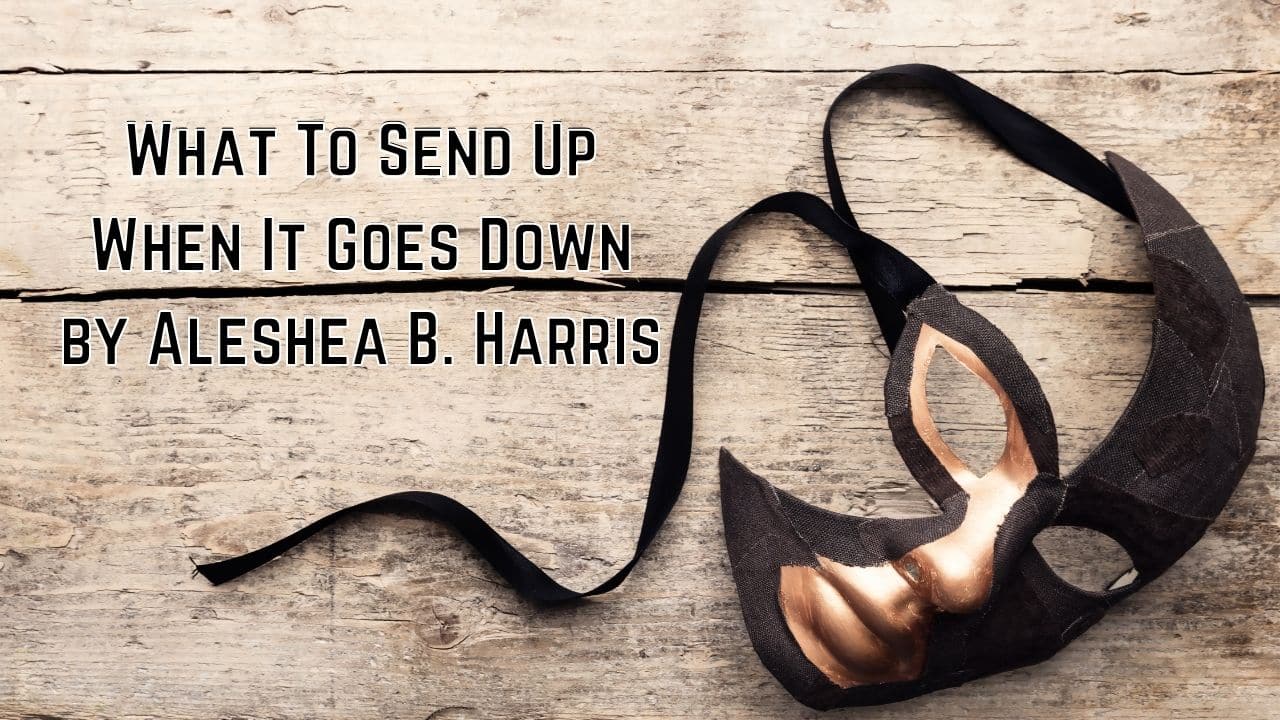 What To Send Up When It Goes Down by Aleshea B. Harris